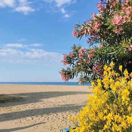 T3 - 6 Personnes - Plage 350M - Piscine - Parking Διαμέρισμα