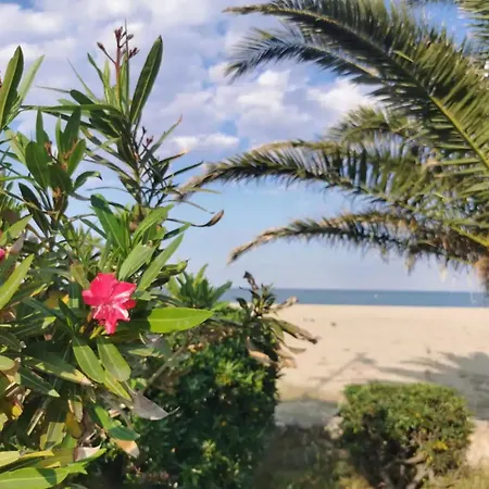 Apartment Proche Plages Avec Vue Montagne Argeles-sur-Mer