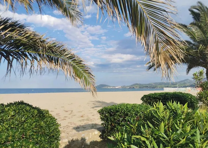 Διαμέρισμα T3 - 6 Personnes - Plage 350M - Piscine - Parking Argelès-sur-Mer