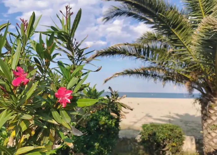 Διαμέρισμα T3 - 6 Personnes - Plage 350M - Piscine - Parking Argelès-sur-Mer
